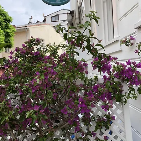 Heybeli Butik מלון דירות